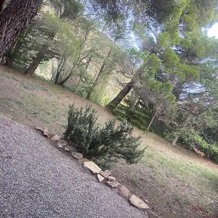 L'amandière Casa vacanze